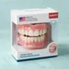 SmileFitPro™ Multi-Functional Shaping Silicone Denture Set