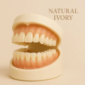 Premium Denture