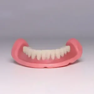 TrueEase™ Dentures