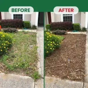 YOBENSUN® Weed Destruction Powder