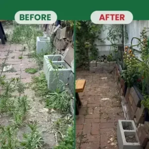 Kill Bamboo, Stumps & Invasive Weeds for Good – LIMETOW® Root Killer Powder