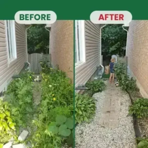 Kill Bamboo, Stumps & Invasive Weeds for Good – LIMETOW® Root Killer Powder