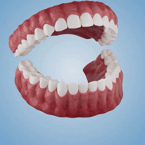 Vaxflite™ PREMIUM DENTURES